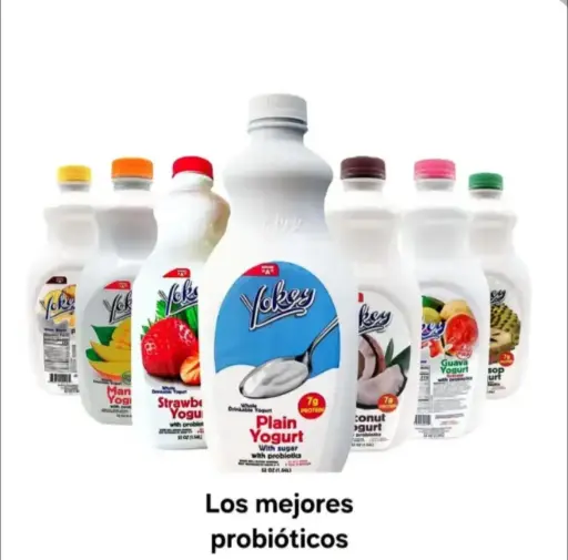 Yogourt Probiótico